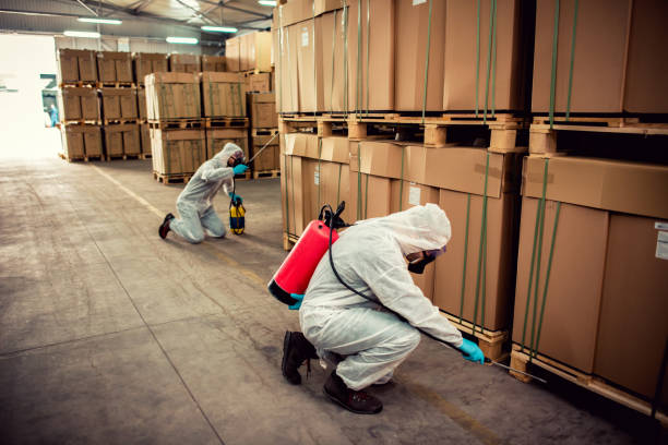 Best Best Pest Control Companies  in Washington Mills, NY