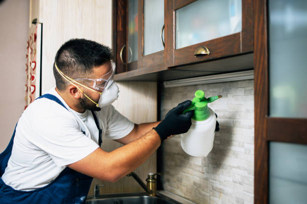 Best Best Pest Control Companies  in Washington Mills, NY