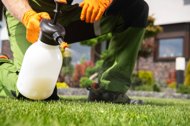 Best Cockroach Control Services  in Washington Mills, NY