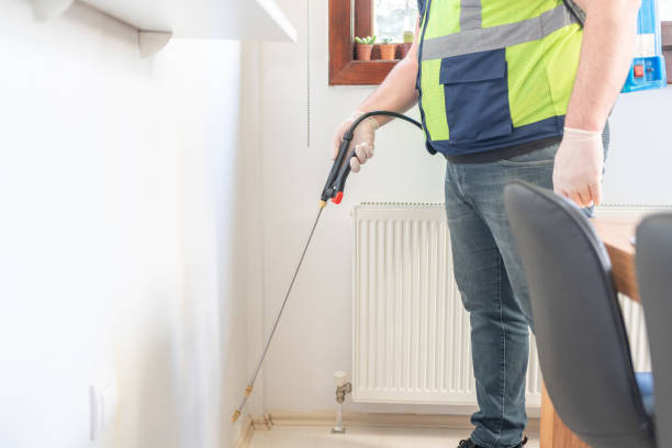 Best Termite Control Services  in Washington Mills, NY