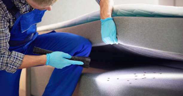 Best Exterminator Services  in Washington Mills, NY