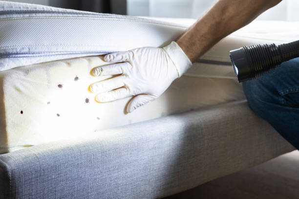 Pest Control for Restaurants in Washington Mills, NY