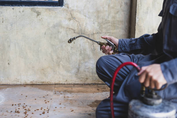 Pest Control Cost in Washington Mills, NY